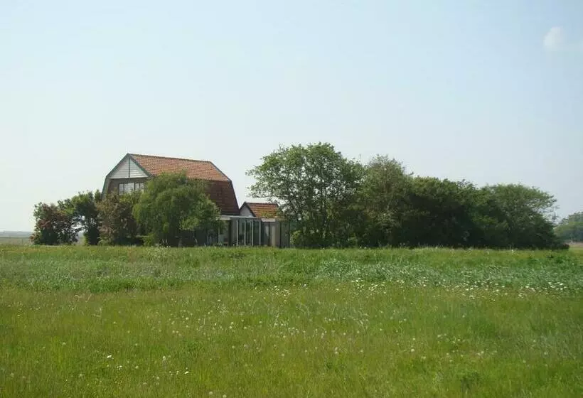 B&b Zuiderkreek