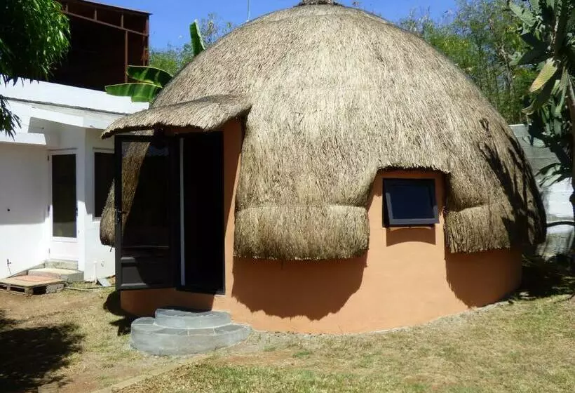 تختخواب و صبحانه Cazhibiscus