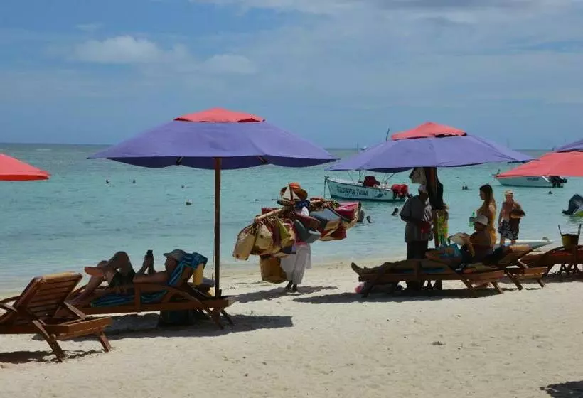 تختخواب و صبحانه Cazhibiscus