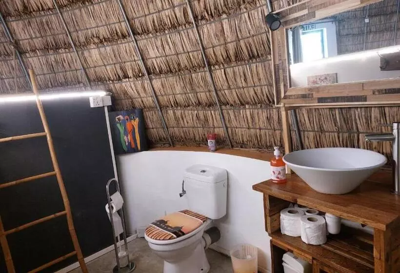 تختخواب و صبحانه Cazhibiscus