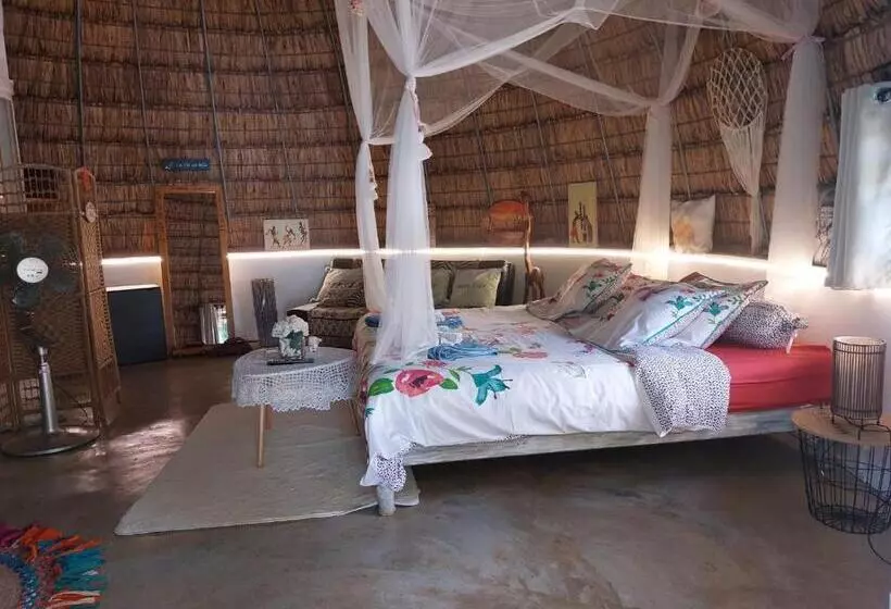 تختخواب و صبحانه Cazhibiscus