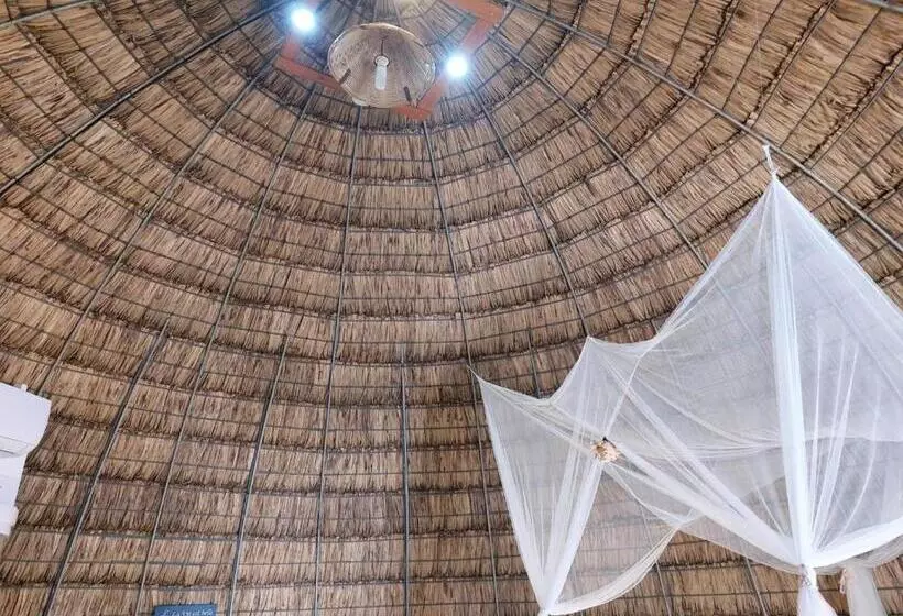 تختخواب و صبحانه Cazhibiscus