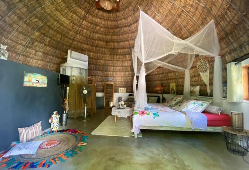 Bed and Breakfast Cazhibiscus