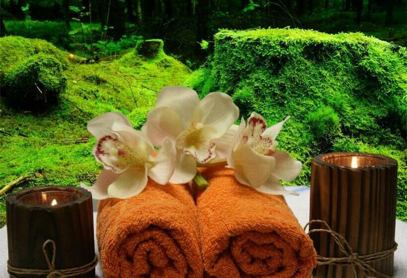 住宿加早餐  La Louisiane 31