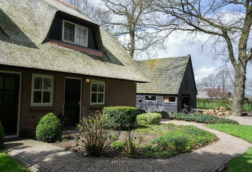 مبيت وإفطار T Rheebokje