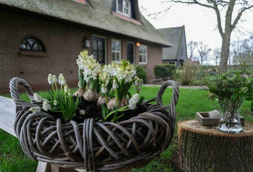 مبيت وإفطار T Rheebokje