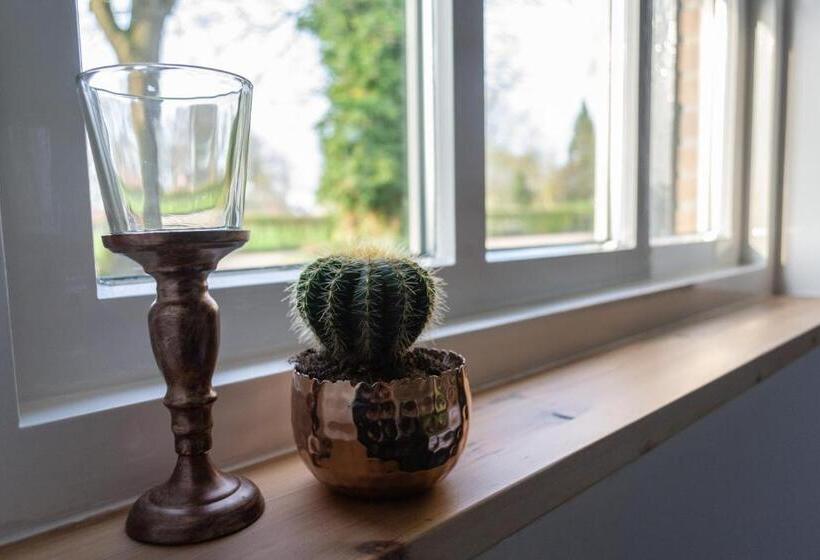 مبيت وإفطار T Rheebokje