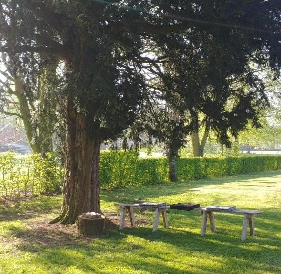 مبيت وإفطار T Rheebokje