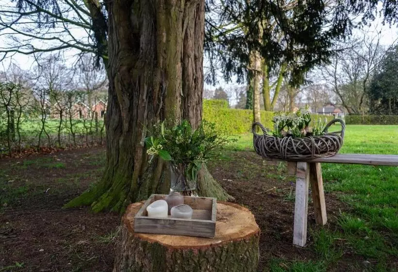 ベッドアンドブレックファースト T Rheebokje