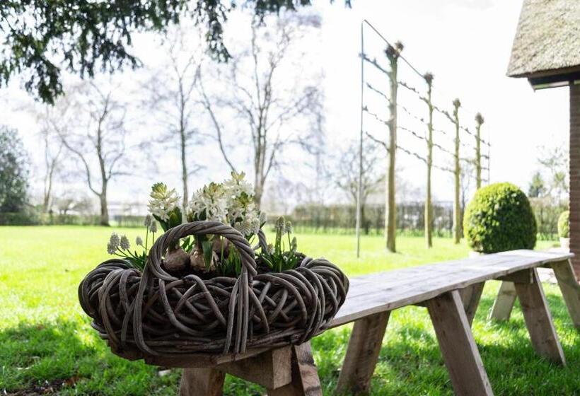 مبيت وإفطار T Rheebokje