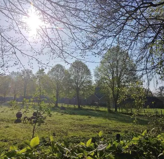 ベッドアンドブレックファースト T Rheebokje