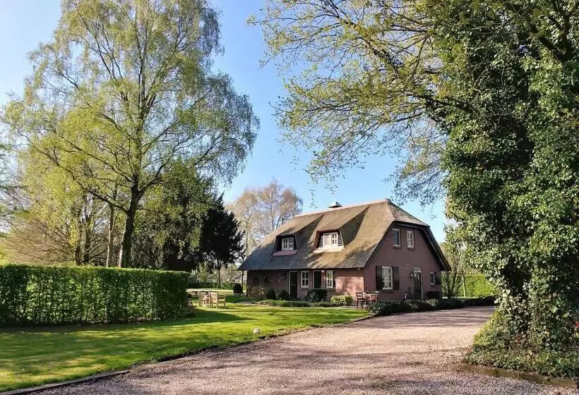 ベッドアンドブレックファースト T Rheebokje