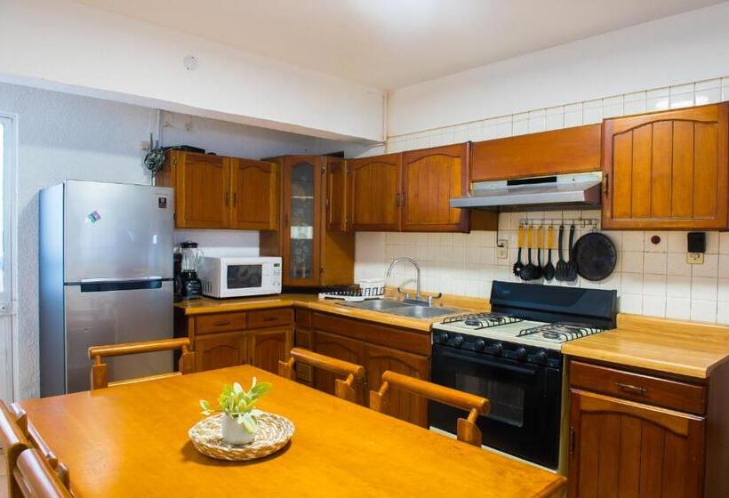 هاستل Casa La Feria   Céntrico