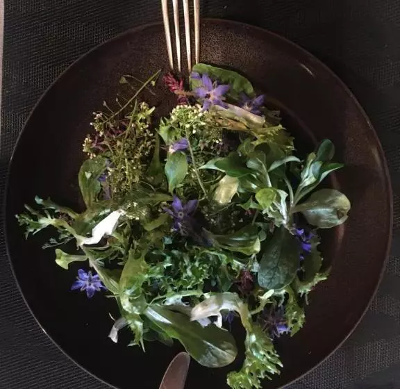 Aamiaismajoitus (B&B) Les Chambres D Elise