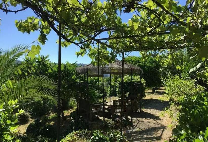 Bed & Breakfast Chambres D Hôtes Cottage Bellevue