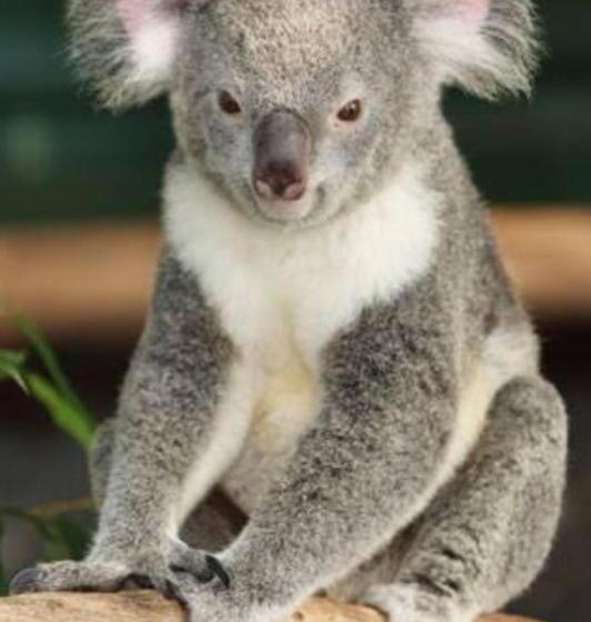 Пансион 2bd Family Or Couple Guesthouse Upstairs Near Turf Club, Hota In Bundall