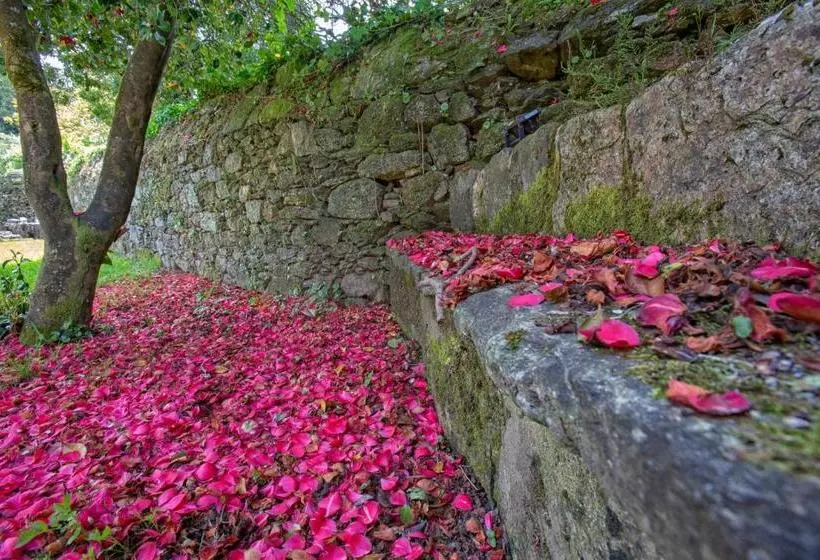 Inicia Cruceiro Do Galo