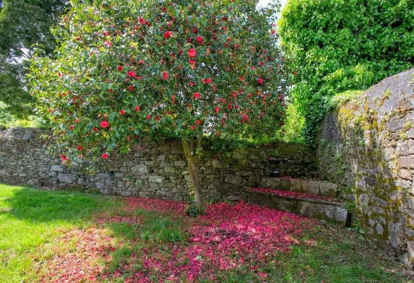 Inicia Cruceiro Do Galo