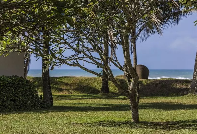 酒店 The Frangipani Tree By Edwards Collection