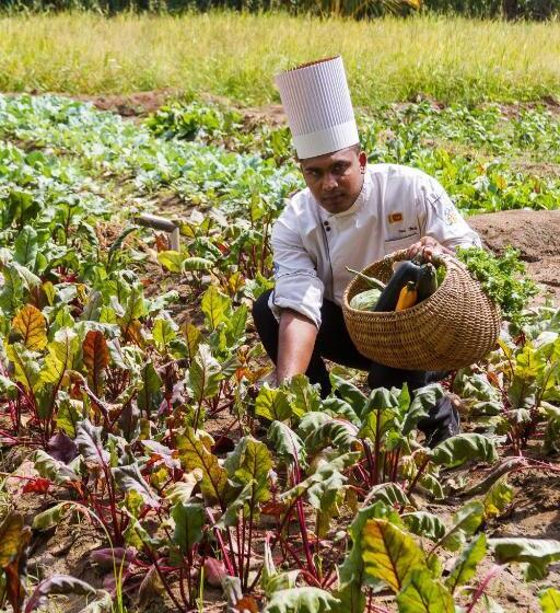 Hotel Sigiriana Resort By Thilanka