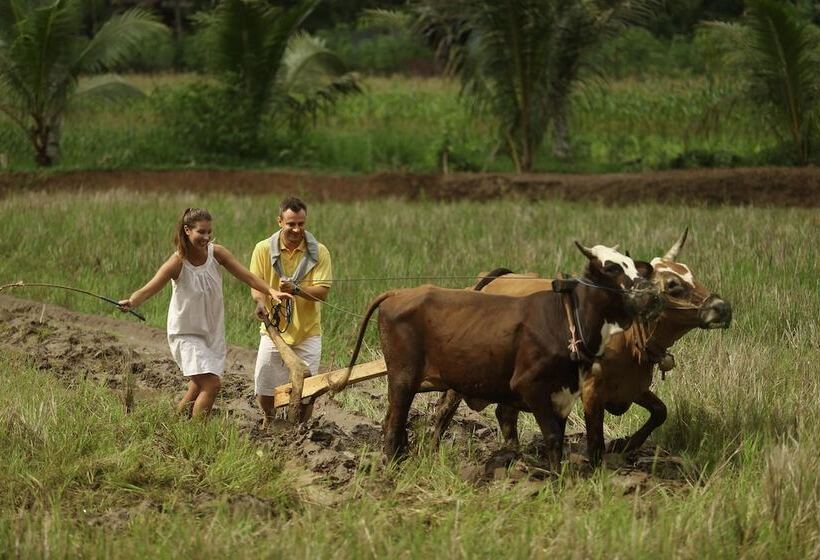 Курорт Plataran Borobudur