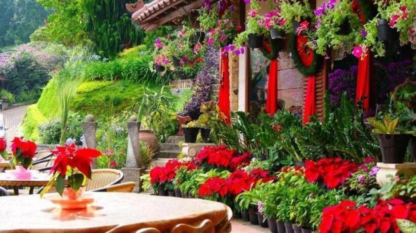 Talita Resort Ciloto Puncak