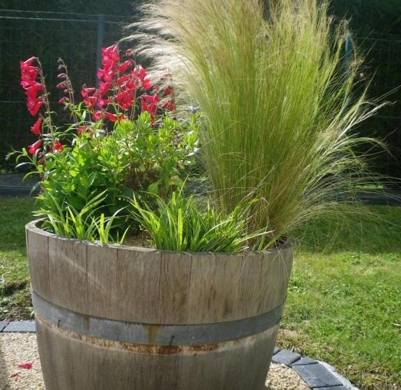 住宿加早餐  Les Terrasses