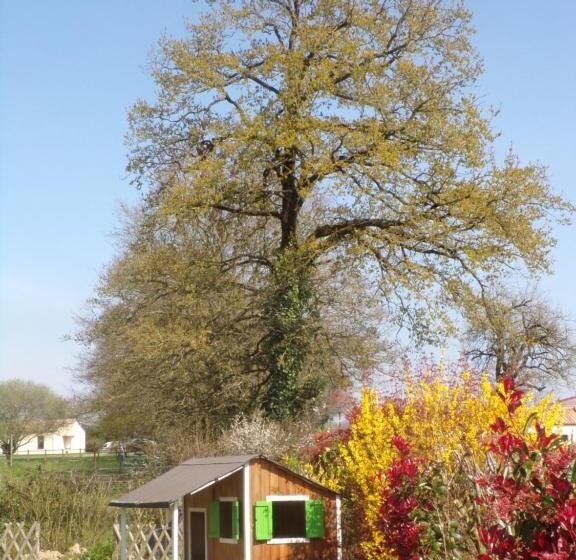 住宿加早餐  Les Terrasses