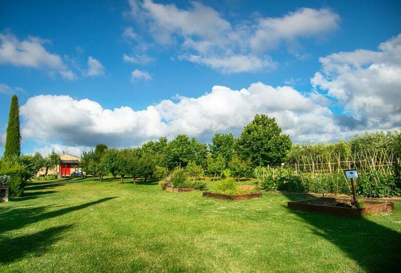 Отель Agriturismo Bibbona By Toscanatour