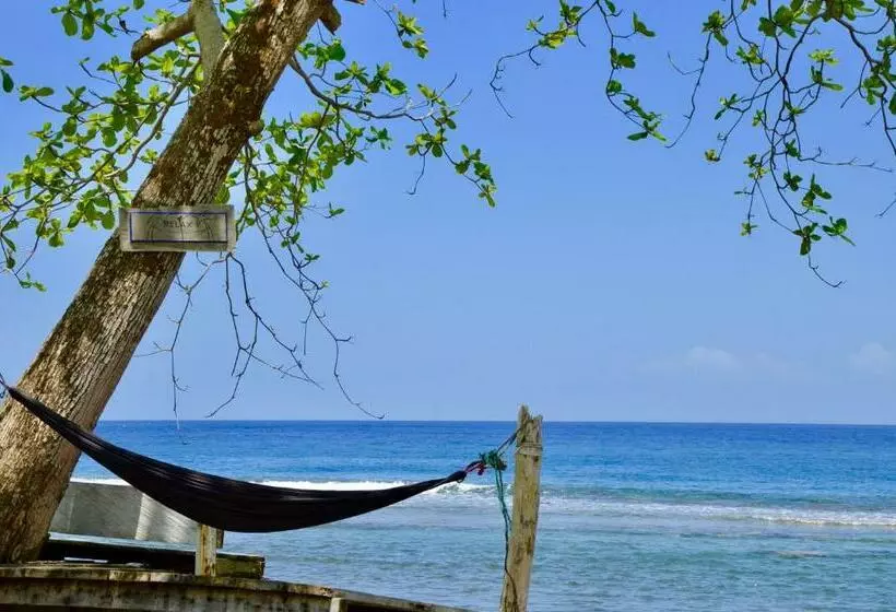 Pristine Paradise Dive Resort Una Una