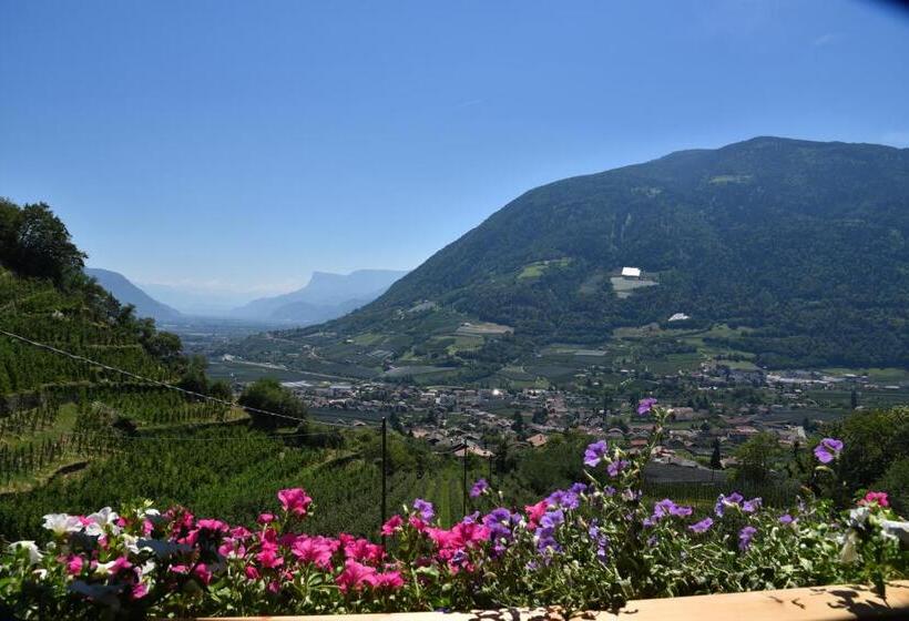 Residence Blumenthalerhof