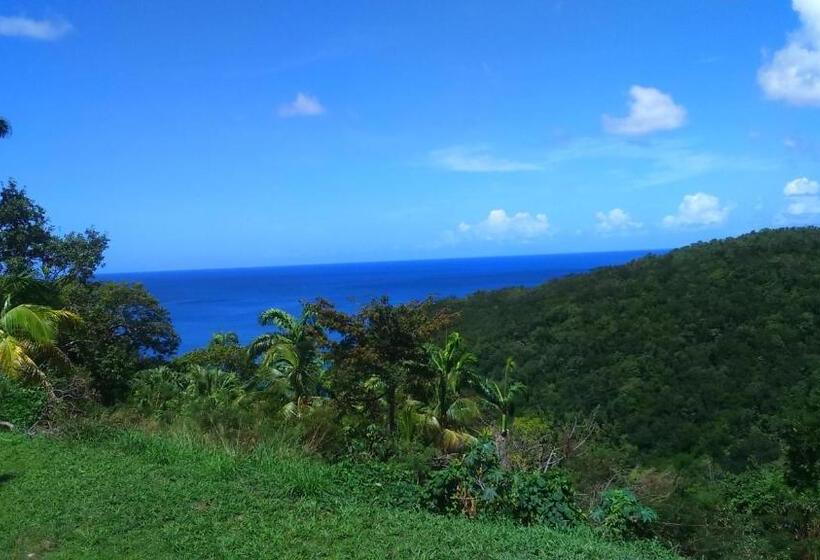 تختخواب و صبحانه Domaine Choco Vanille