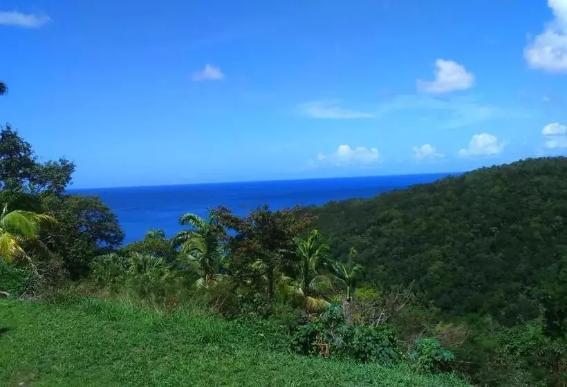 تختخواب و صبحانه Domaine Choco Vanille