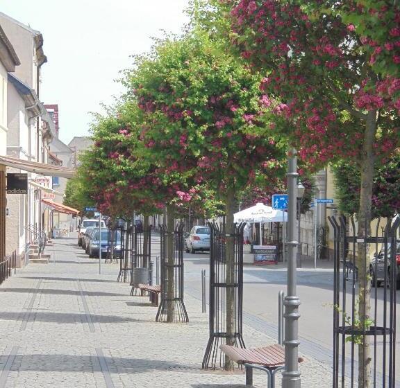 Пансион Neues Vaterland