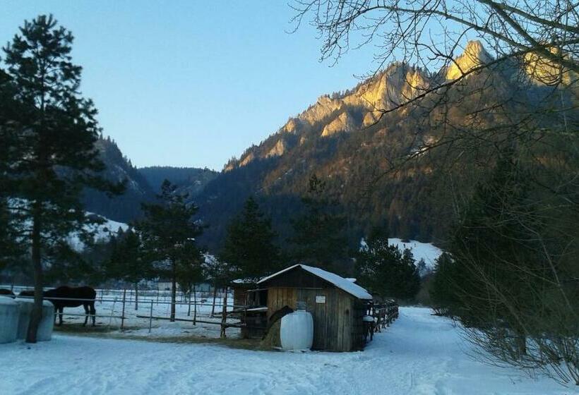 Pensão Ubytovanie Sokolica