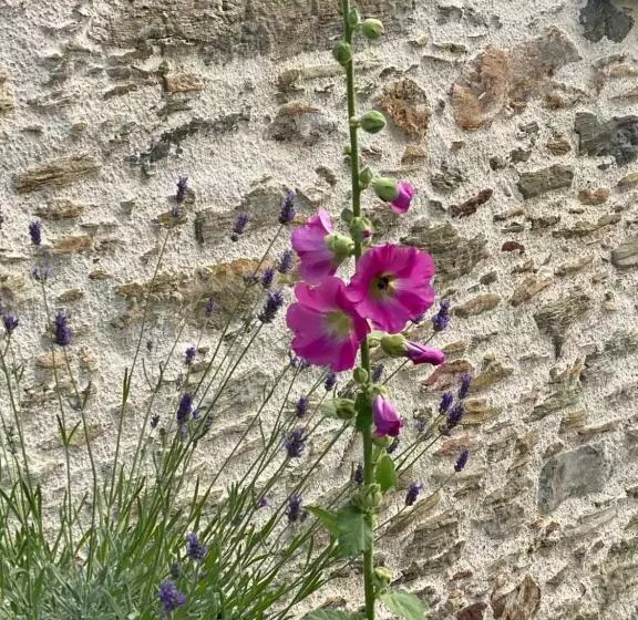 Aamiaismajoitus (B&B) Céline Et Olivier