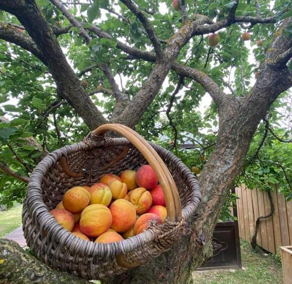 تختخواب و صبحانه Céline Et Olivier