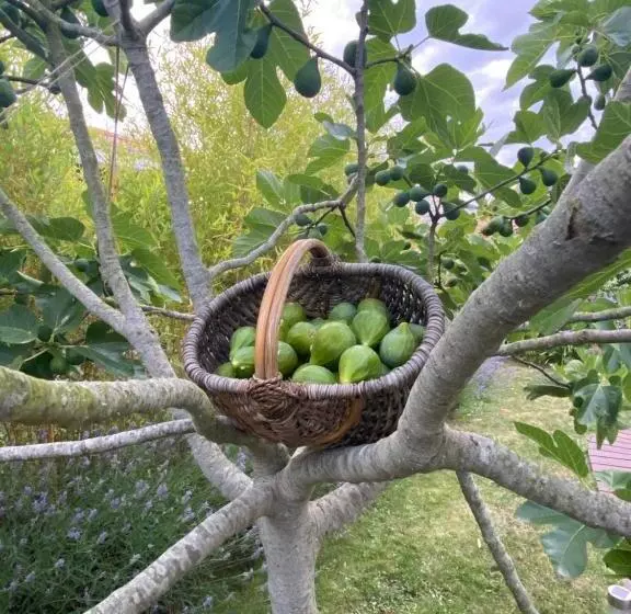 Aamiaismajoitus (B&B) Céline Et Olivier