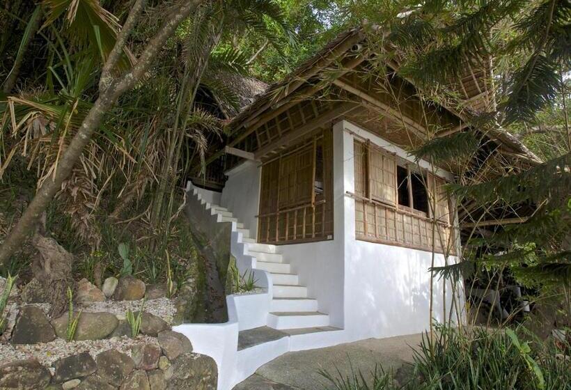 Kurort  Kookoo S Nest Eco Lodge