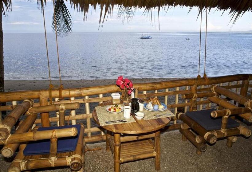 Kurort  Kookoo S Nest Eco Lodge