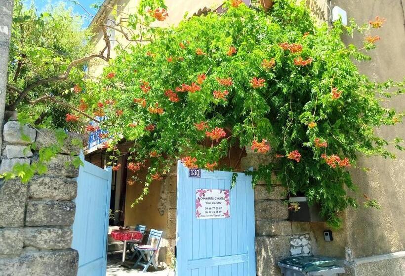 膳宿费 Chez Clairotte