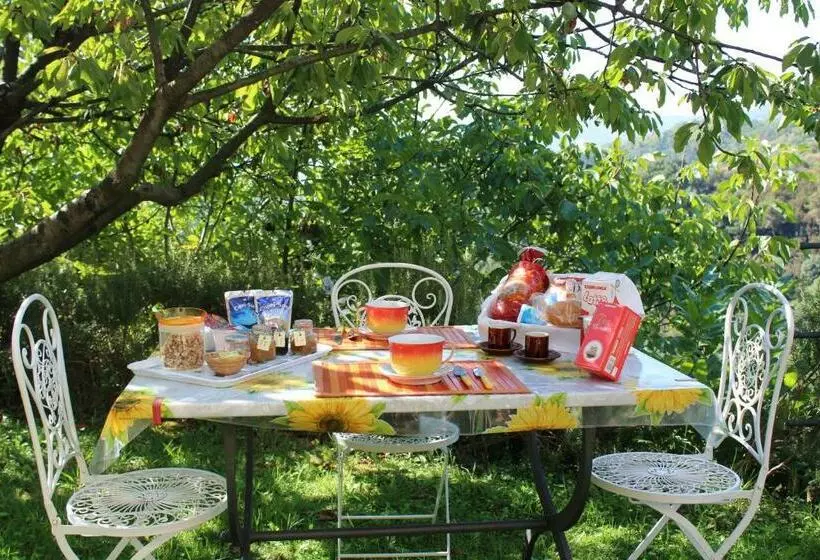 5 Terre   B&b La Giuditta   La Spezia