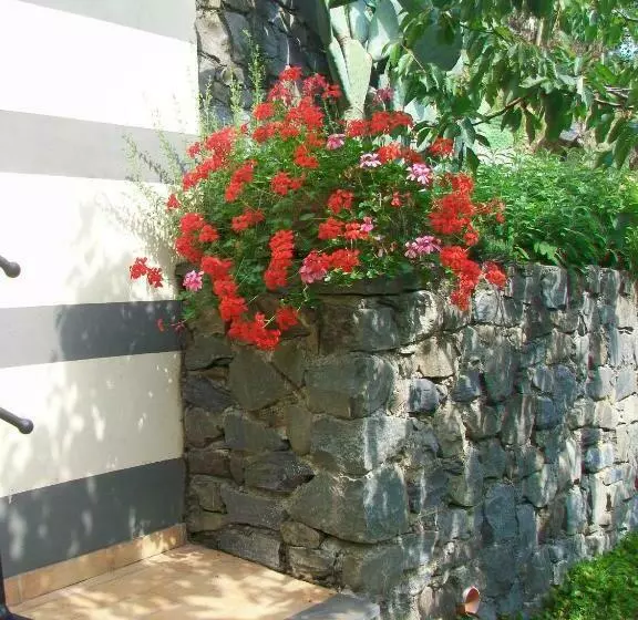 5 Terre   B&b La Giuditta   La Spezia