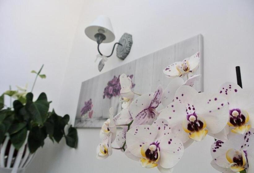 住宿加早餐  Almasol