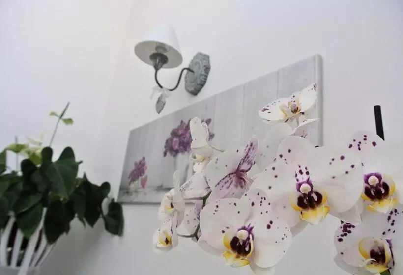 Aamiaismajoitus (B&B) Almasol