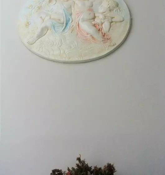 Aamiaismajoitus (B&B) Almasol