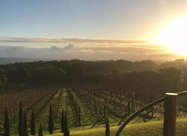 Aamiaismajoitus (B&B) Frogs Pond