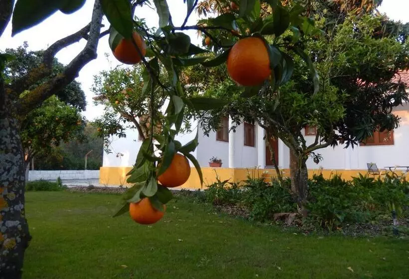 Aamiaismajoitus (B&B) Quinta Laranjal Da Arrabida