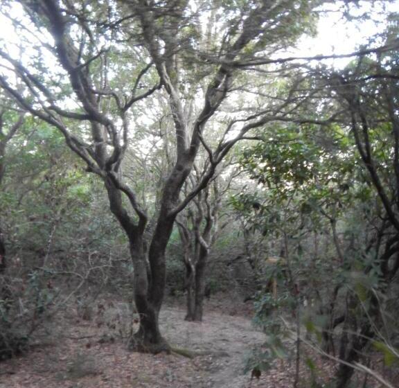 مبيت وإفطار Villa Mirabel