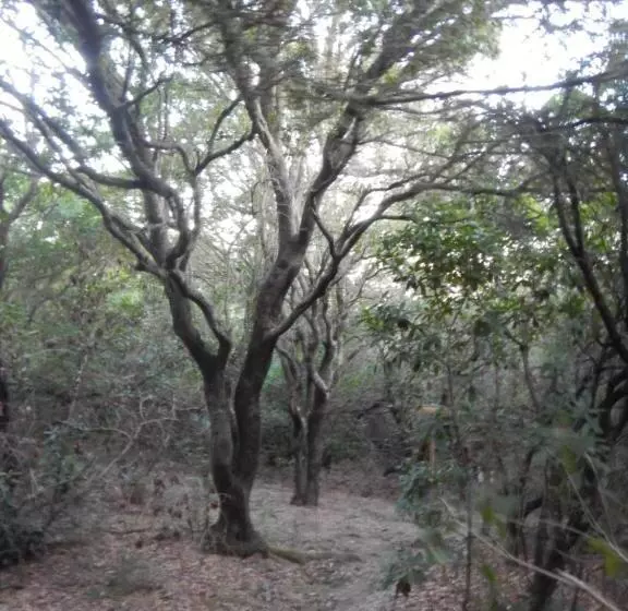 ベッドアンドブレックファースト Villa Mirabel